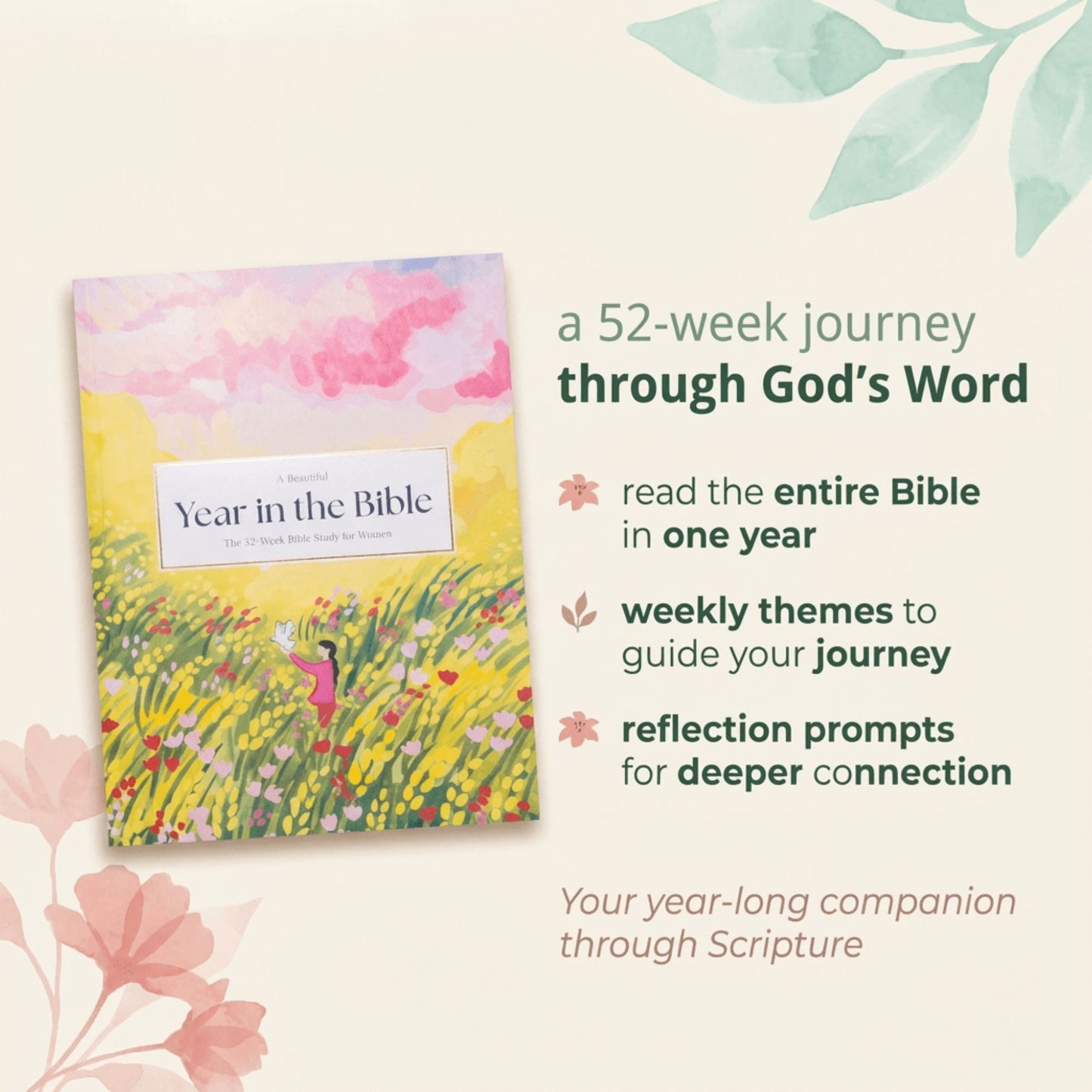 Bible In A Year: 52-Week Study
