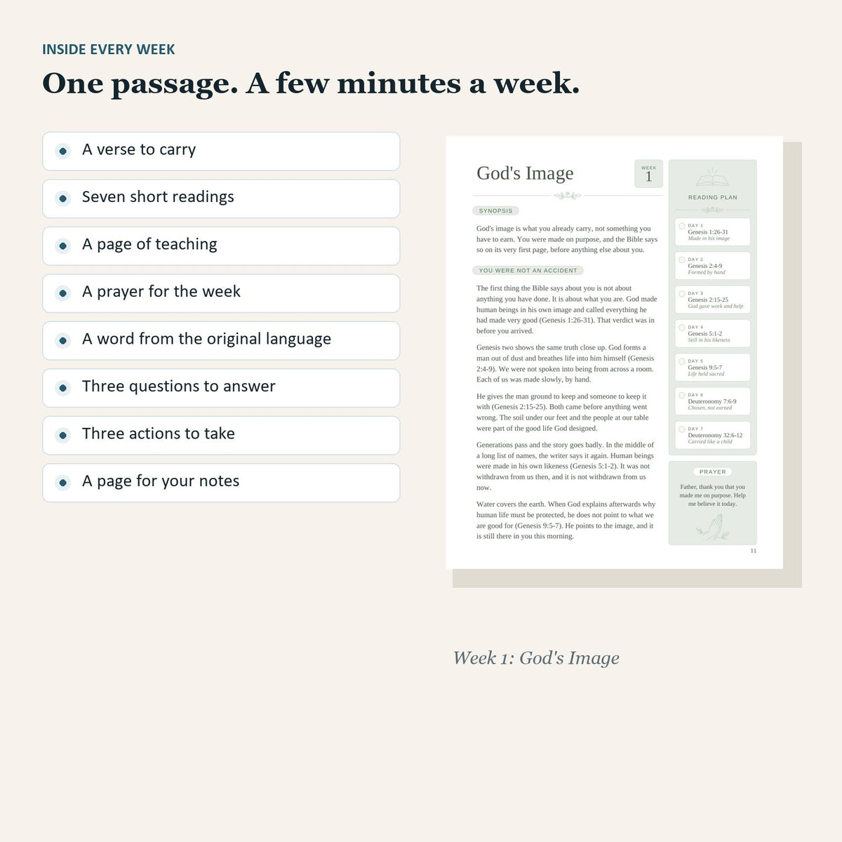 Inside every week: a verse to carry, seven short readings, a page of teaching, a prayer, a word from the original language, three questions, three actions, a page for notes