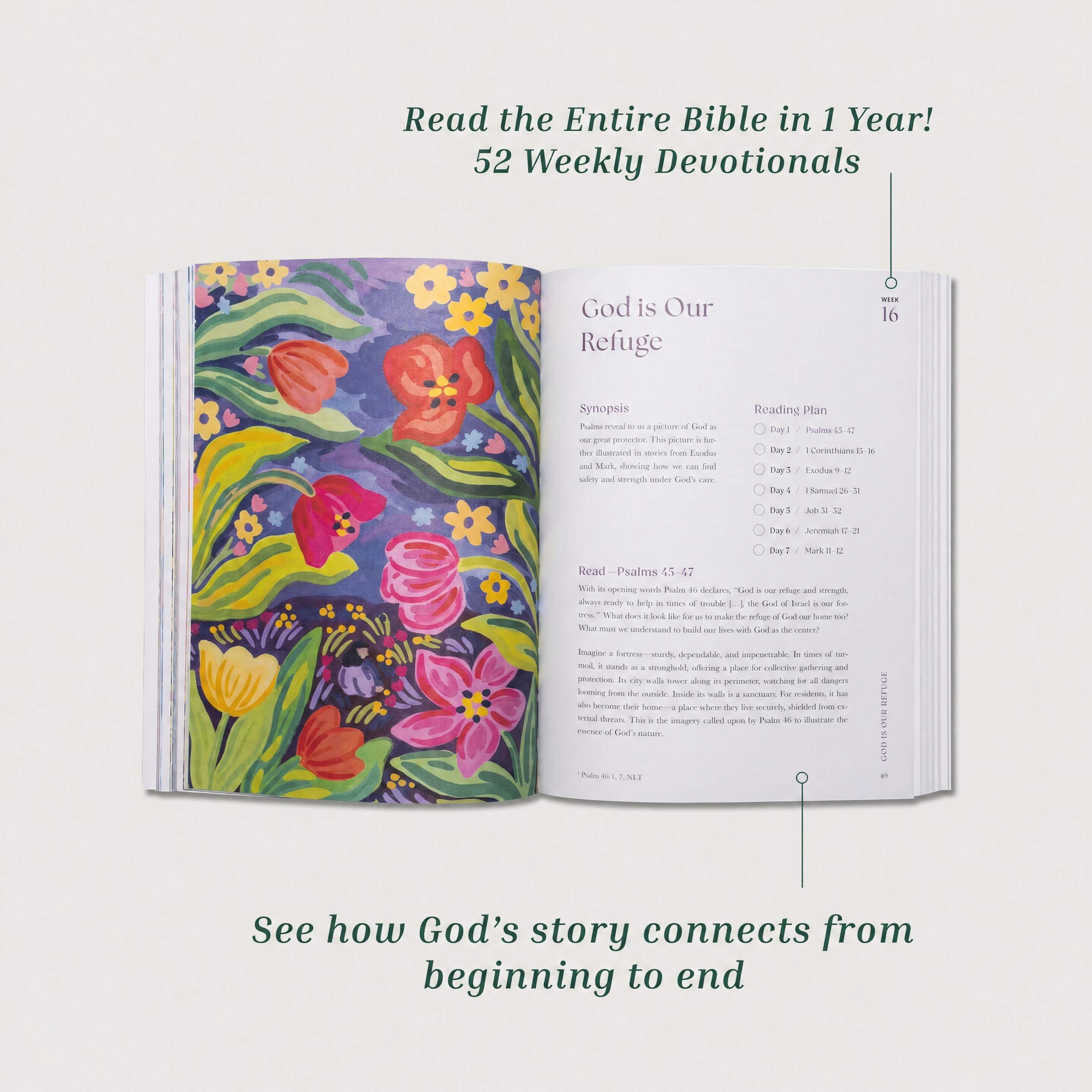 Bible In A Year: 52-Week Study
